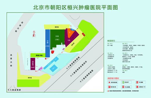 www操我啊啊北京市朝阳区桓兴肿瘤医院平面图